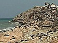 Mountain of Trash Blights Historic Lebanese City of Saida