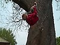 10-year old Parkour sensation