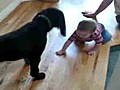 Hilarant : un bébé joue avec un chien