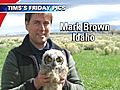 Wildlife photographer Marc Brown on NECN