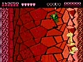 Battletoads (NES) - 24:20 (US version,  emulated speedrun) - Phil Côté and Jean-François Durocher (aka. Genisto) (2005)