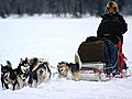 Husky und Eis - Kältetest in Finnland