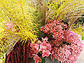 Fall Foliage Arrangement