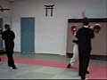 Ninjutsu Goshido by Sensei Arie van den Akker