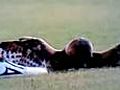 Footballer kicks injured barn owl