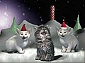 Os Jingle Cats voltaram!