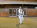 糸東流 平安四段(編集版)