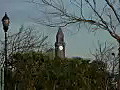 Royalty Free Stock Video HD Footage Clock Tower and Tree Branches in Jersey City,  New Jersey