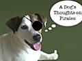 A Dog’s Thoughts on Pirates