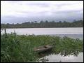 Amazon River Lodge Peru