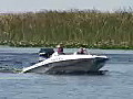 Royalty Free Stock Video HD Footage Power Boat in the Everglades in Florida