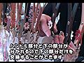 黒パグナイトの東京 第3回おしゃれドッグ in わんわんTown