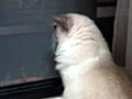 2010/05/04