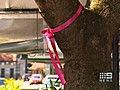 Vandals cut down breast cancer ribbons at Ascot