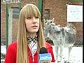 Donkey Farts During Interview