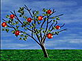 Apple Tree Number 8