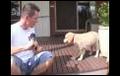 Dog training video: Hound TV #16 - Saturday 17 March 2007