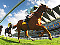 Racing from Ascot: 2010: 25/09/2010