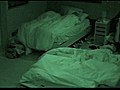 Big Brother Feed Highlight - Sawing Logs