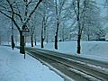 Damage Caused by snow storm in Great Malvern