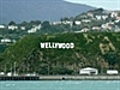 &#039;Wellywood&#039; sign sparks online backlash