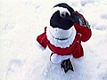 Santa penguins hit the slopes