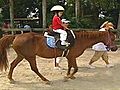 Terapia para niños con caballos