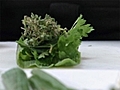 Puro chef - Bouquet garni