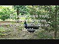 Le Zoo de Lille : présentation du parc des animaux sauvages