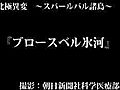 〈北極異変〉ブロースベル氷河