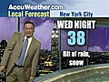 Crazy New York Weatherman
