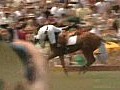 哈里王子慈善馬賽期間墮馬