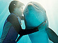 Dolphin Tale - Trailer No. 2