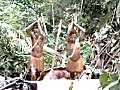 Kombai Women Collecting Sago