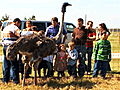 18 Kids and Counting: Ostrich Farm