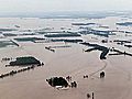 Missouri Farmer: 'A Decision Had to Be Made'