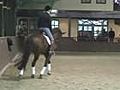 How to Determine Riding Attentional Style in Equestrian Sports