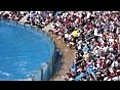 The SeaWorld Dolphin Show (in HD)