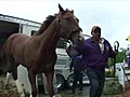 Preakness entries Dublin and Northern Giant arrive at Pimlico