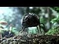 Volkswagen Super Bowl Commercial