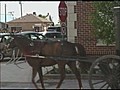 Why Amish Businesses Thrive [05-25-10 5:50 PM]