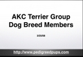 AKC Terriers - AKC Terrier Dog Breeds