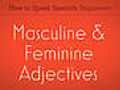 Learn Spanish / Masculine and Feminine Adjectives