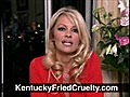 KFC Animal Cruelty Pamela Anderson