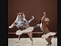 Animated Dancing Animals - Music - Oops Upside Your Head