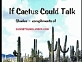 Funny Cactus,  Fake Sunglasses, & Silly Hats