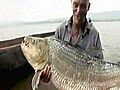 Africa,  catturato il pesce mostro