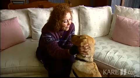 Diabetes assist dogs can smell low blood sugar