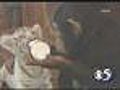 11/11: WFRV.Com Says - Take A Look At This!