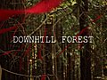 DOWNHILL FOREST